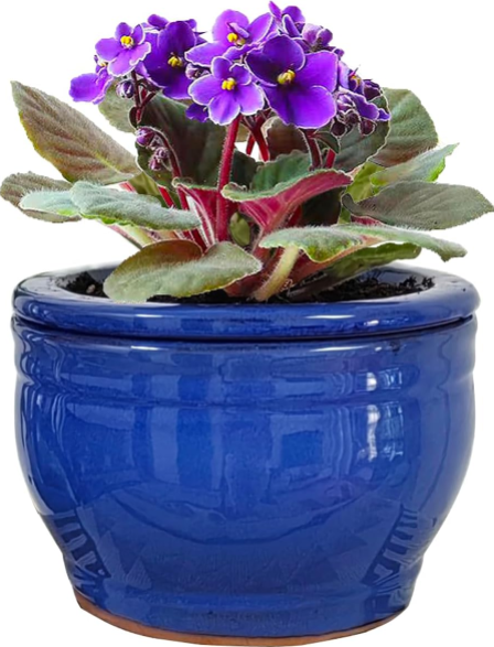 African Violet Pots – Self-Watering Round Ceramic Planter (Blue, 6 Inch) for Healthier, Happier Violets