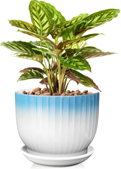 8-Inch Ceramic Plant Pot with Drainage and Saucer – Modern Blue & White Planter for Indoor Plants (Plants Not Included)