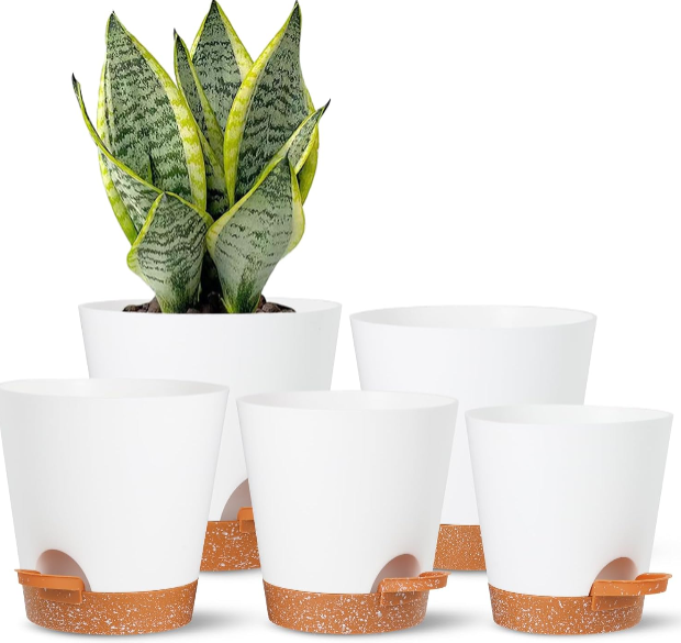 Title: Outdoor Self-Watering Plant Pots Review | White Plastic Planters with Drainage and Reservoir for Indoor Plants and Home Decor (5-Pack)