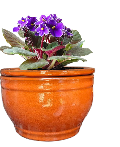 African Violet Pots – Self-Watering Round Ceramic Planter (Orange, 6 Inch) for Easy Plant Care