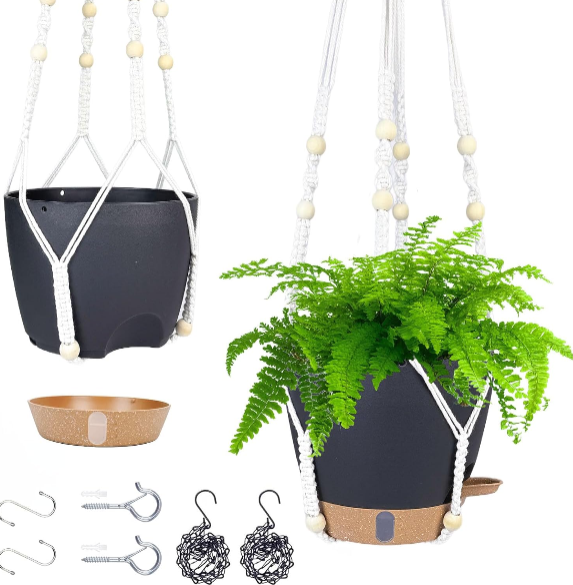 Self-Watering Hanging Planters 8-Inch (2 Pack) – Modern Hanging Flower Pots with Drainage, Water Window, and Dual Hanger Options