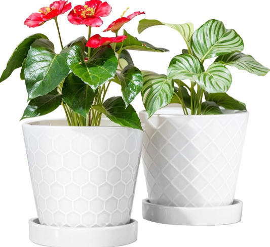 BUYMAX 6 Inch Ceramic Plant Pots Indoor with Drainage Hole and Tray, Set of 2 White