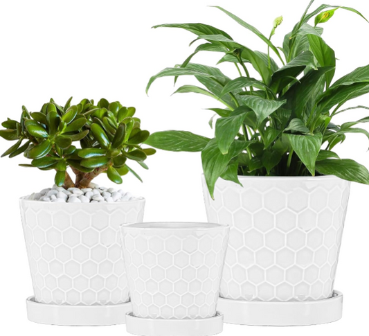 Ceramic Plant Pots Set of 3: 4, 5, and 6 Inch White Planters for Indoor Plants with Drainage and Trays