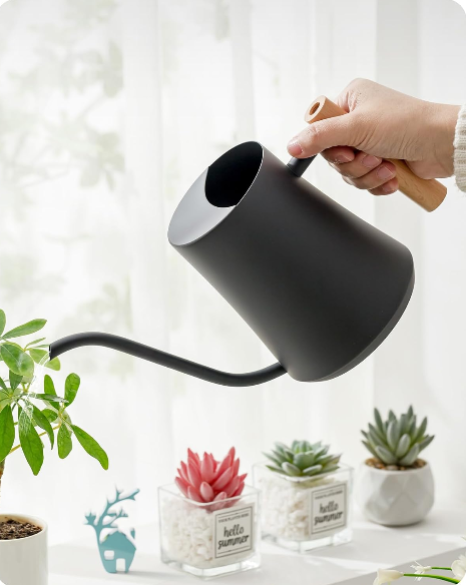 Baffect Indoor Watering Can Review: 1L Metal Watering Can with Long Spout for Houseplants