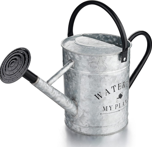 Galvanized Watering Can 1 Gallon: Decorative Metal Water Can for Indoor and Outdoor Plants
