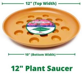 2 Pack of 12 inch Plastic Terracotta Colored Round Plant Saucer, Lighter Plastic Tray for Indoors and Outdoors, Durable Flower Pot Planter Saucers (2 Pack - 12")