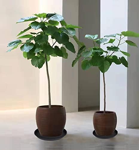 2 Pack of 16 17 inch Plant Saucer (15 inch Base), 2.3" Depth, Plant Trays for Pots, Plastic Plant Saucers for Indoors, Bird Bath Bowls, Flower Pot Drip Trays for Planter (17", Black)