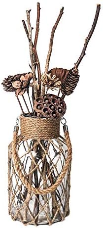 Rustic Hanging Mason Nautical Jar Rope Net Dry Flower Glass Vase with Handle Pack of 2 (2 Vase 8")