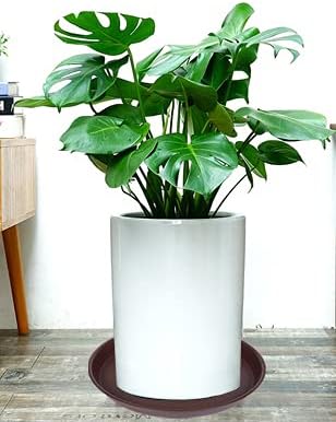 2 Pack of 14 inch Plant Saucer, Heavy Duty Round Plant Trays for Pots, Plastic Plant Water Tray, Bird Bath Bowls, Plant Saucers for Indoors, Pot Drip Trays for Planter 12-14" (14", Chocolate)