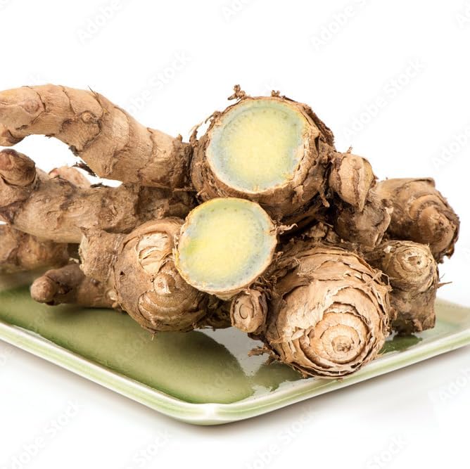 Green Turmeric Live Plant - (Curcuma aeruginosa) - Rare Medicinal Herb, Vibrant Pink Flowers, Ideal for Tropical Gardens (4 Green Turmeric Bags)