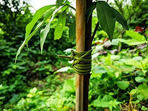 TIPU Soft Rubber Garden Rope Twine, Soft Hollow Stretchy Plant Support and Garden Twine, Green, 262 FT