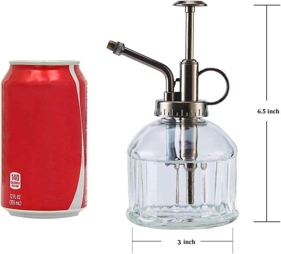 Glass Plant Mister Spray Bottle, 6.5" Tall Vintage Plant Water Spritzer Sprayer, Succulent Watering Bottle with Top Pump, Small Glass Watering Can for Indoor Outdoor Houseplant - Clear