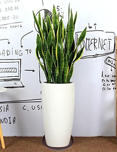 4 Pack of 16 17 inch Plant Saucer (15 inch Base), 2.3" Depth, Heavy Duty Deep Plant Trays for Pots, Bird Bath Bowls, Plant Water Saucers for Indoors, Planter Drip Trays (17", Chocolate)