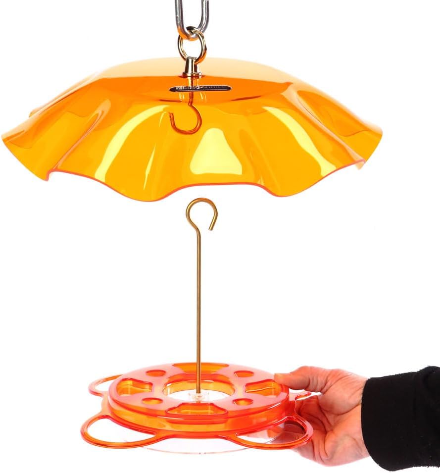 Birds Choice Oriolefest Oriole Bird Feeder with Protective Weatherguard | Hanging Bird Feeder for Jelly, Oranges & Nectar | 4 Feeding Ports & Trays with Ant Moat & Bee Guards | 12 oz, Orange