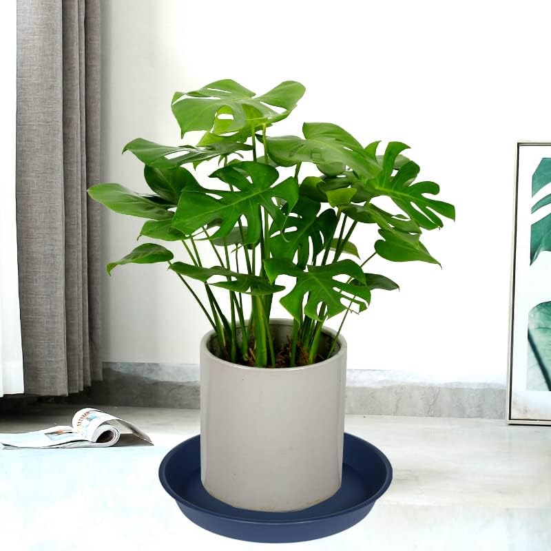 2 Pack of Bird Bath Bowl 12", 1.6" Depth, 10 12 inch Birdbath Bowls Dish Only for The Garden, Large Plant Saucer (12", Blue)