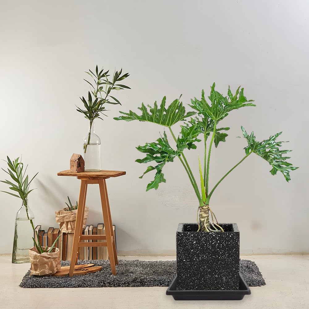 6 Inch 4 Pack Square Plant Saucer, Plant Trays for Pots, Plant Saucers for Indoors and Outdoors, Water Catcher Tray, 8 10 12 14 16 18 20 inch Seed Starting Tray, Growing Trays (6"-Black)