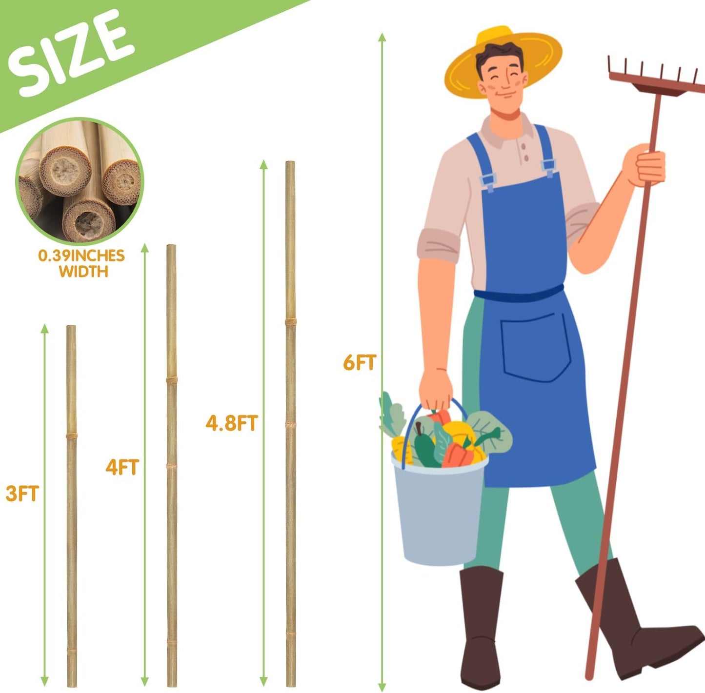 Plant Stakes,4.8FT Longer Sturdy Natural Bamboo Garden Stakes,GAGINANG 20Pcs Bamboo Sticks Trellis Support for Tomato, Vegetables Beans Trees Climbing Plants