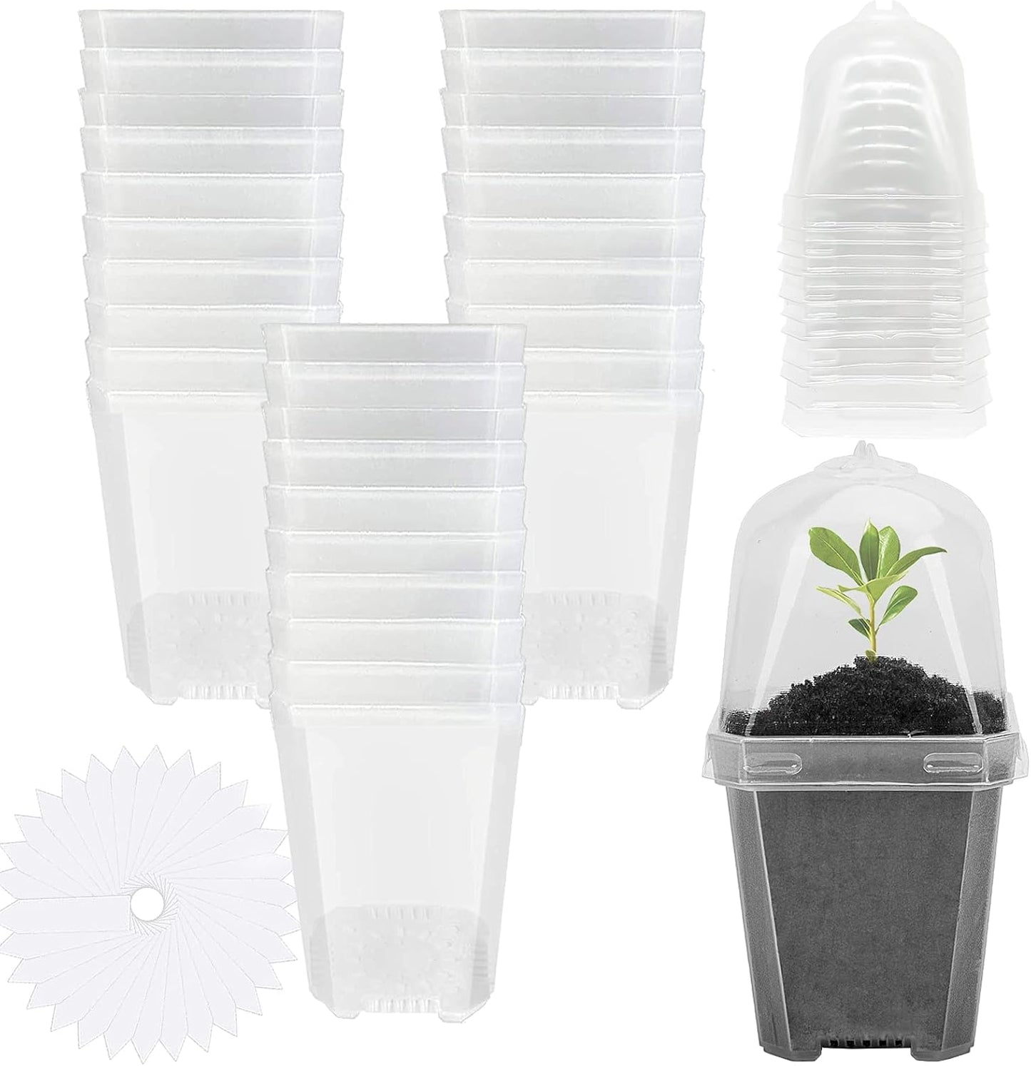 EBaokuup 30PCS Clear Plant Nursery Pots with Humidity Dome - 3" Durable Plastic Gardening Pot with Labels, Small Plant Container for Seedlings/Vegetables/Succulents/Cuttings