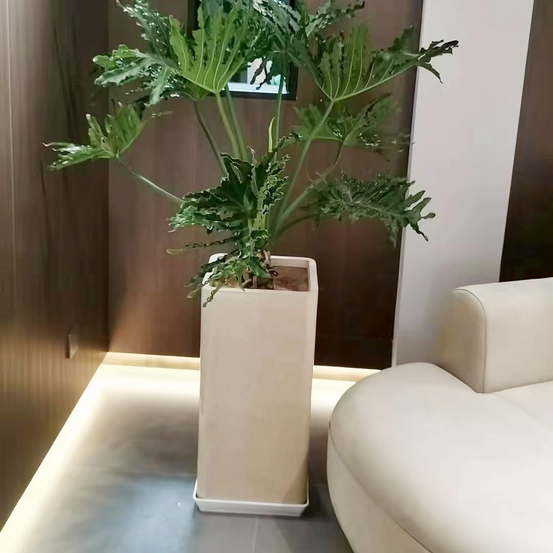 2 Pack Square Plant Saucer 16 Inch, Duty Plastic Plant Saucer, Heavy Duty Plant Pot Saucers, Planters for Indoors and Outdoors Plants，Large Deep Plant Trays for Pots.