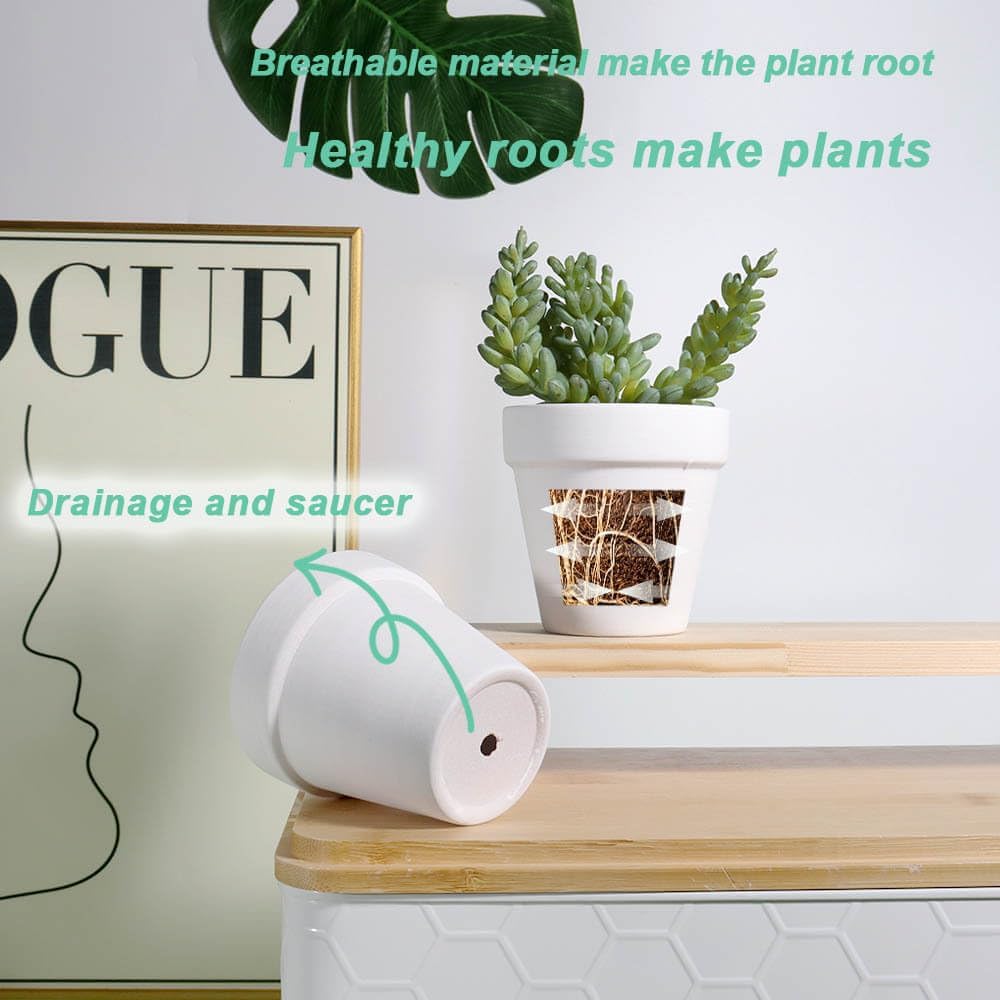 vensovo 3 Inch White Terra Cotta & Terracotta Pots with Drainage - 20 Pack Clay Flowerpots, Succulent Nursery Planter Great for Plants, Crafts, Wedding Favor