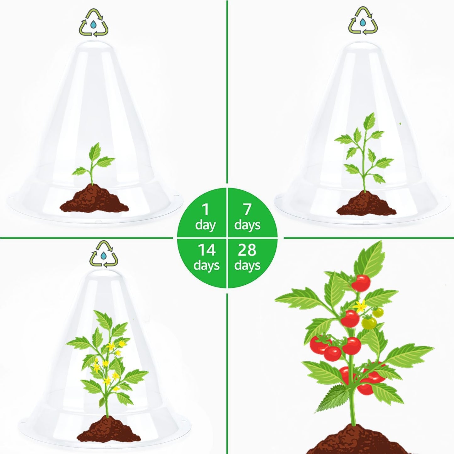 【10 Pieces】 Garden Cloches for Plants, Large Plant Covers Plant Protectors Transparent Bell Jar Cloches to Protect Plants from Birds, Slugs, Frost, Freeze Weather, 10.6" D x 9.5" H, Transparent