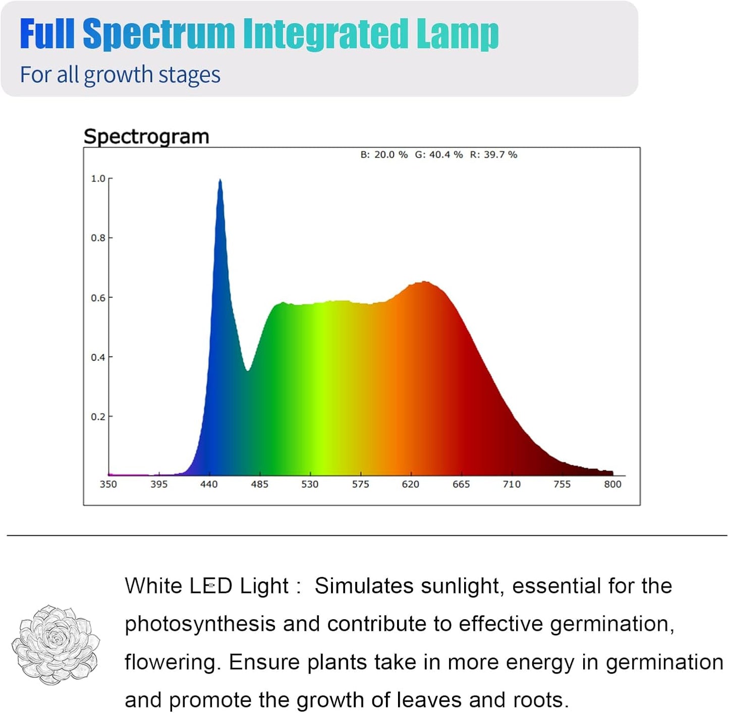 Hywymlait Grow Lights for Indoor Plants, 5000K White Full Spectrum LED Growing Lamp, 1FT T5 Plant Growing Light Strips for Greenhouse Seed Starting, Vegetables, Plug and Use, 4-Pack