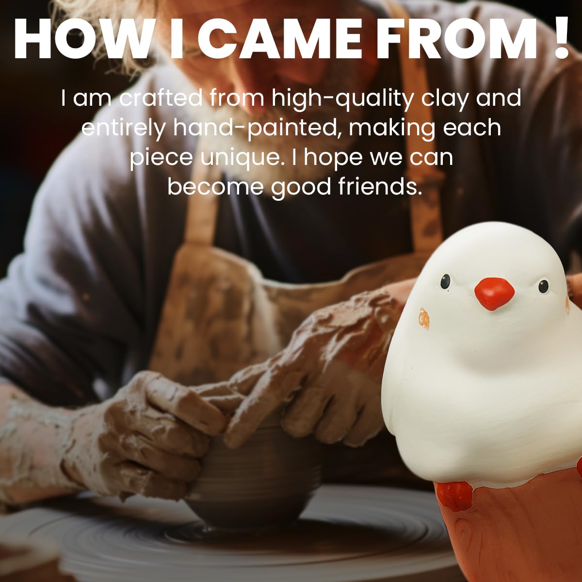 Bird Shaped Plant Watering Globes(4ps) Plants Suitable for Indoor and Outdoor Use Should be Kept Constantly Moist. The Interesting Shape Makes The Garden More Interesting and Beautiful.