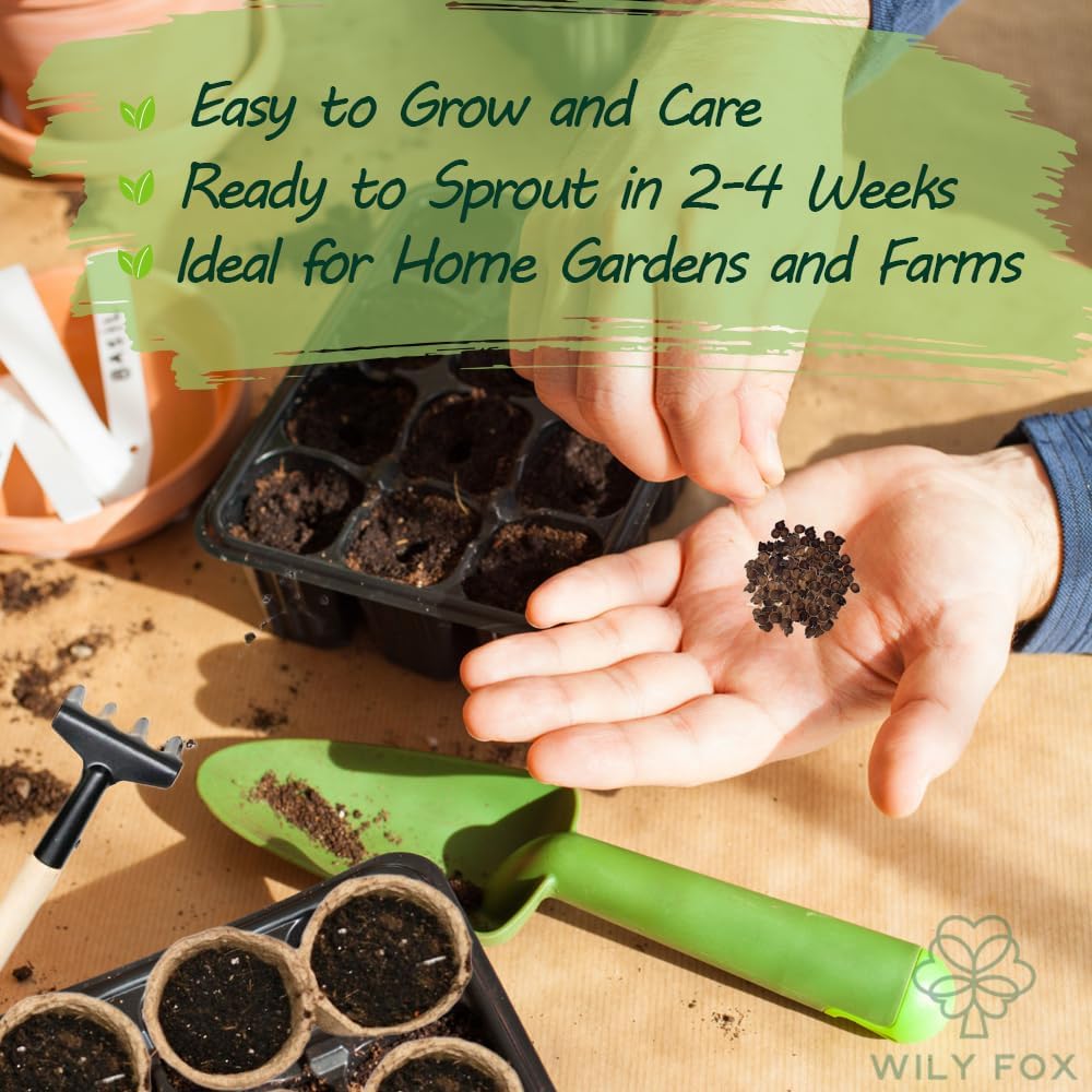 Premium Rare Hollyhock Seeds – 400+ Double Hollyhock Flower Seeds – Non-GMO, Heirloom Perennial – Showy Blooms for Outdoor Planting (Double Hollyhock Mix)