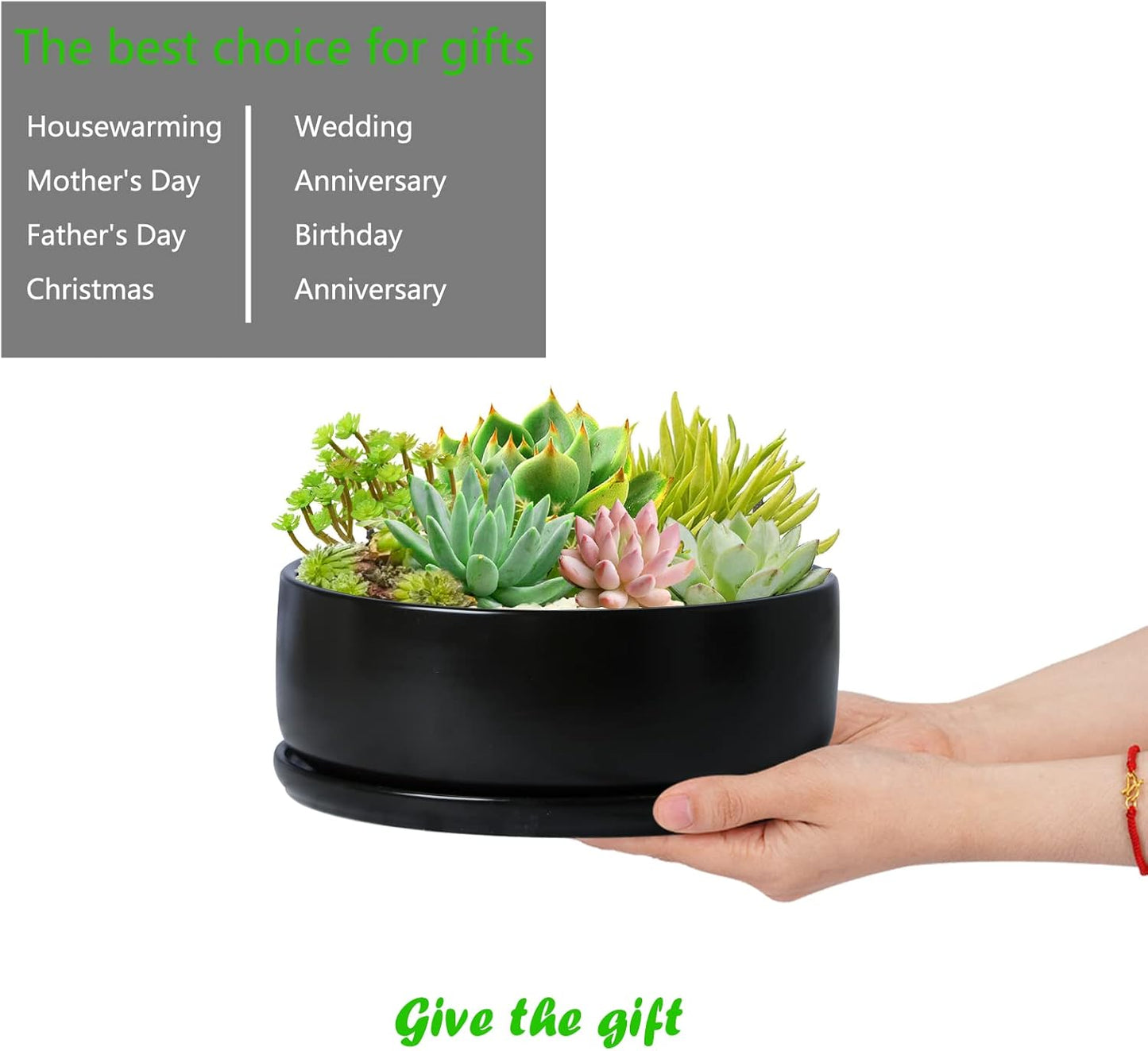 SQOWL 8 Inch Modern Round Flower Pot Black Ceramic Cactus Succulent Planter Pot with Removable Saucer