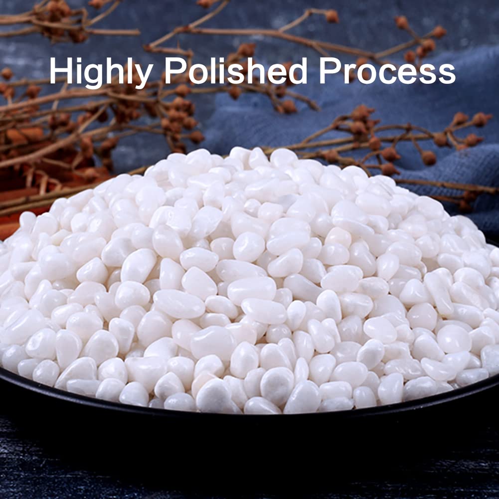 HOT SEAL 12.0 LB White Polished Pebbles 3/8", Natural Decorative Smooth River Rocks, Gravel Size White Small Pebble Stone for Succulent, Bonsai, Potted Plants, Landscaping, Fairy Garden, Aquarium