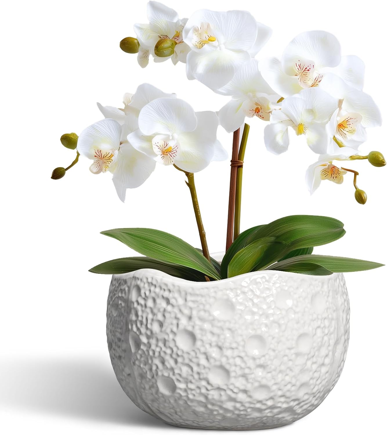 Ceramic Pots for Plants - 6 Inch Plant Pot for Indoor Outdoor, Decorative Orchid Pots with Drainage Hole, Unique Round Modern Planters, Home Decor, Gifts for Plant Lovers, White