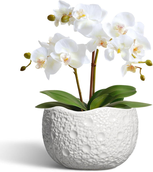 Ceramic Pots for Plants - 6 Inch Plant Pot for Indoor Outdoor, Decorative Orchid Pots with Drainage Hole, Unique Round Modern Planters, Home Decor, Gifts for Plant Lovers, White