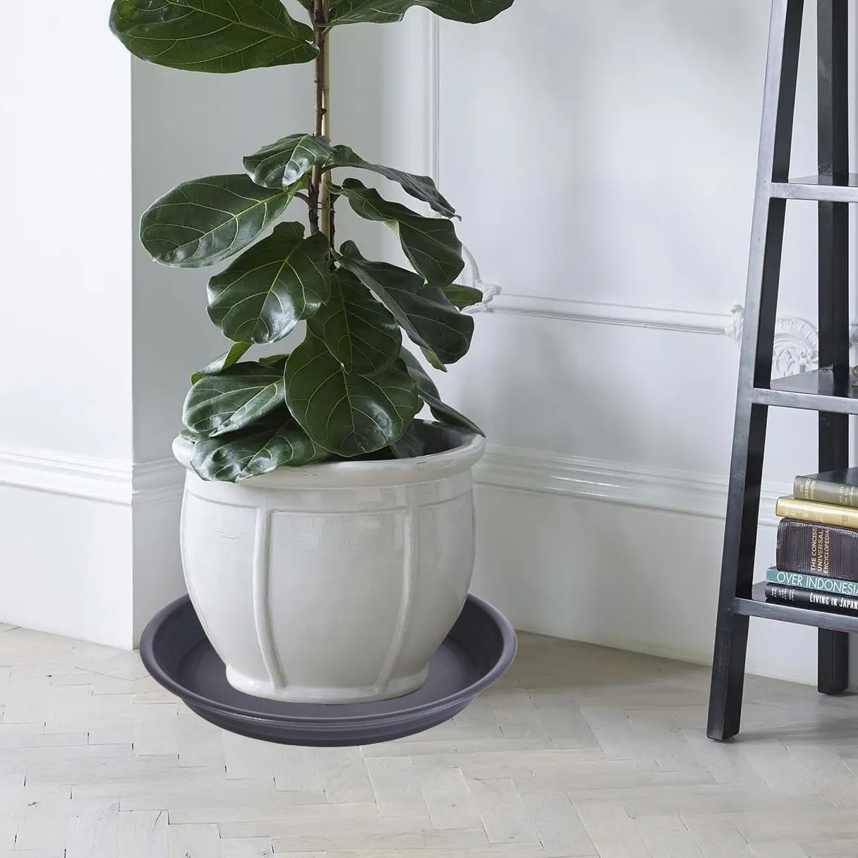 2 Pack Plant Saucer Drip Tray 13 14 inch, Large Plastic Flower Planter Saucers and Drip Trays for Indoors Outdoors, Heavy Durable Plant Plate Water Catcher (14", Dark Gray)