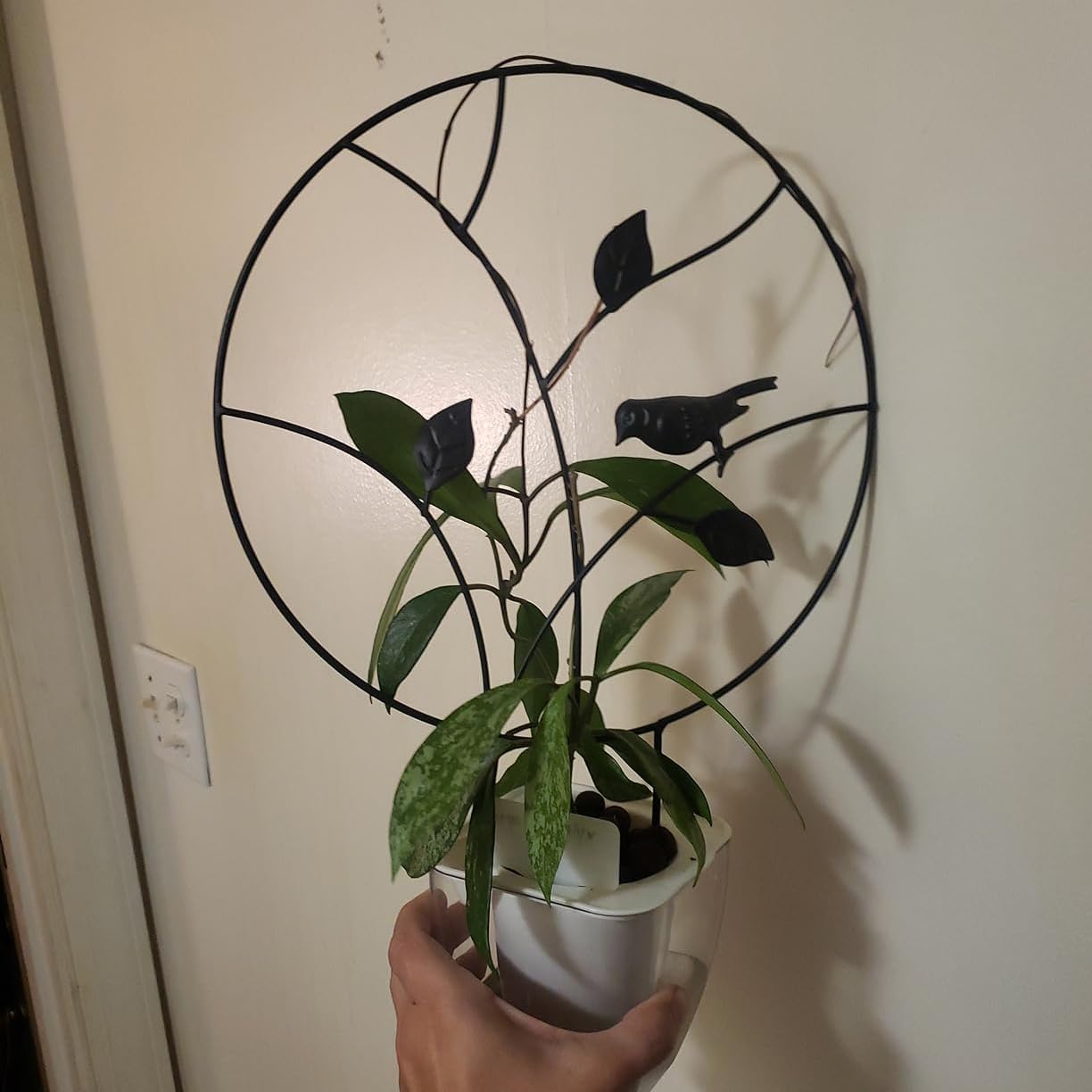 Indoor Plant Trellis for Climbing Plants, Small Garden Trellis for Potted Plant Support Outdoor, Round Circle Trellis with Bird, 2 Pack Small Houseplant Metal Wire Trellis for Vine Ivy