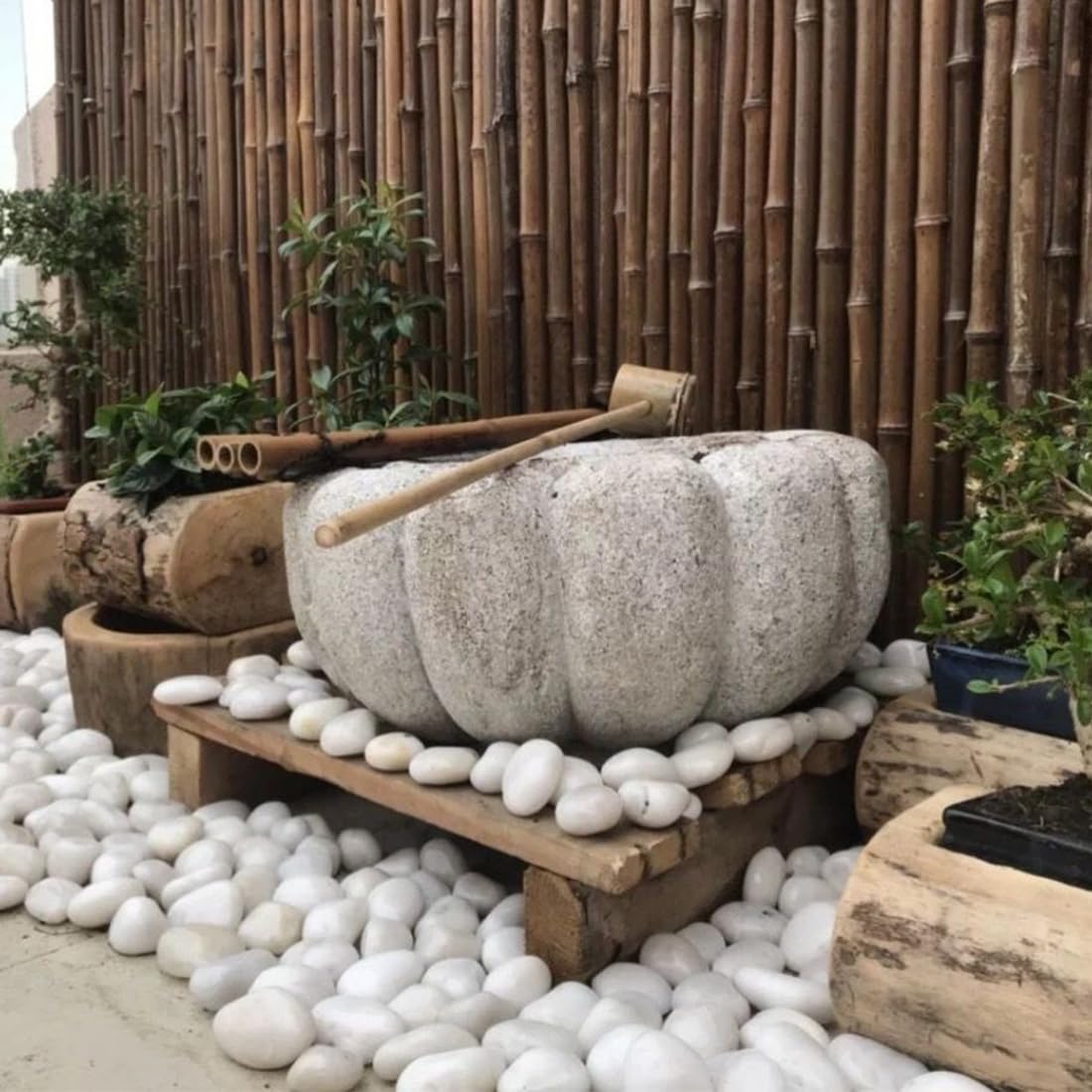 20lbs White River Rocks for Landscaping, 2-3 Inch Natural Pebbles for Indoor Plants, High Polished Decorative Stones Vase Filler Fish Tank Aquariums Garden Outdoor and Indoor DIY