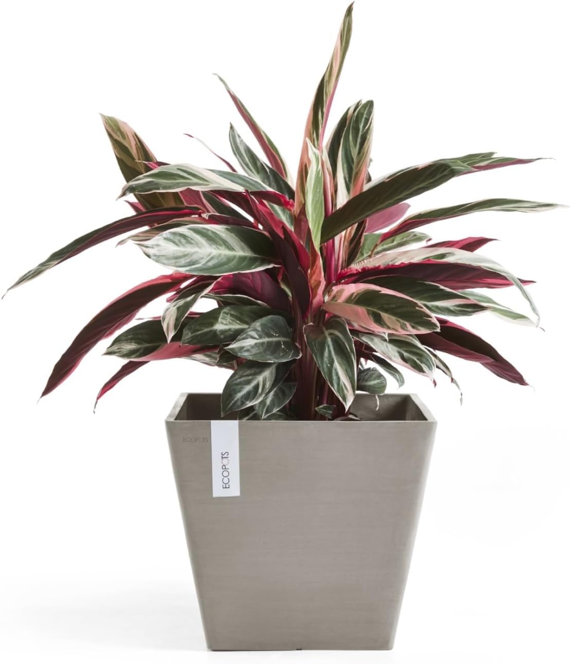 Ecopots Rotterdam Durable Modern Square Indoor/Outdoor Recycled-Based Composite Flower Planter, Taupe, 12"