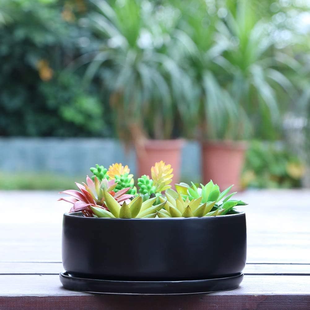SQOWL 8 Inch Modern Round Flower Pot Black Ceramic Cactus Succulent Planter Pot with Removable Saucer