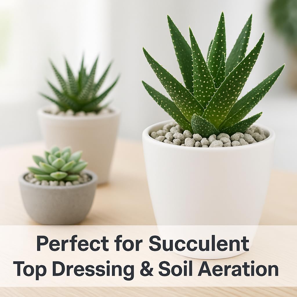 Horticultural Pumice for Plants, Natural Pumice Stone Soil Amendment, 3/8-1/4 inch, Made in USA (20 quarts - 18 lbs)