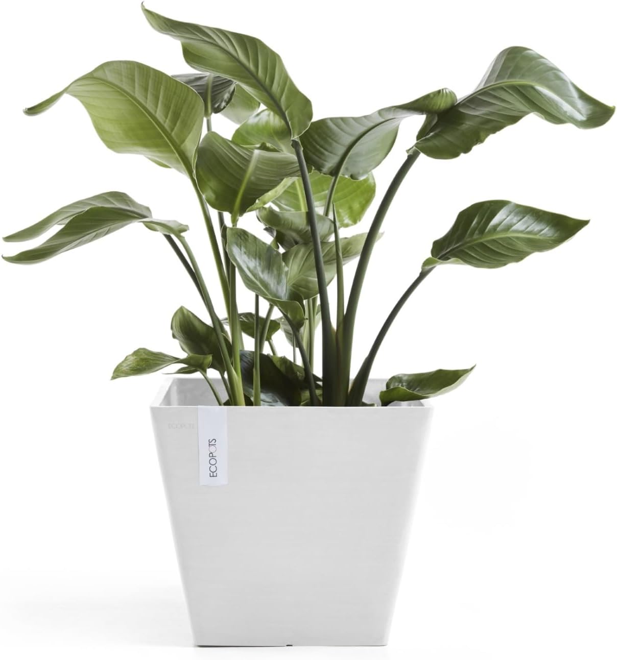 Ecopots Rotterdam Durable Modern Square Indoor/Outdoor Recycled-Based Composite Flower Planter, Pure White, 15.75"
