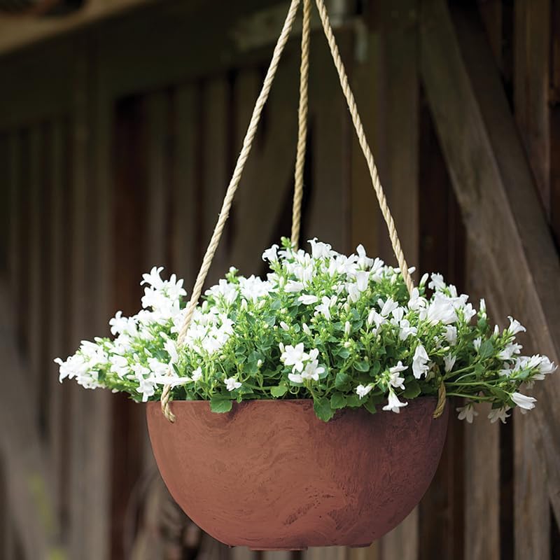 Root & Vessel Self Watering Hanging Planter for Indoor or Outdoor Plants, Unique Marbled Hanging Basket Made of Eco-Friendly Blend of Stone & Plastic, Rust, 10"