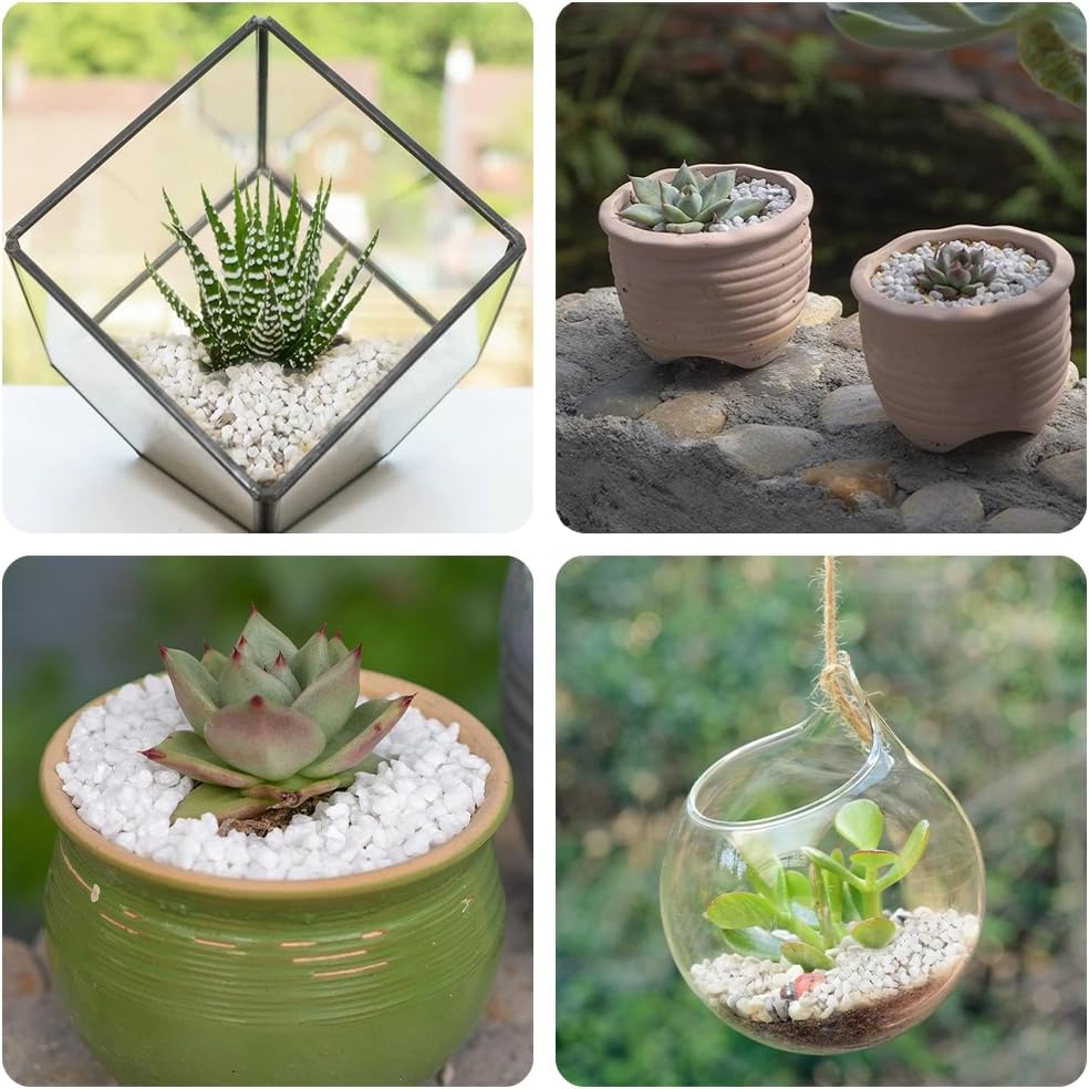 HappyFiller Succulent Cactus Soil Cover Gravels,Indoor Plants Decorative Small Rock,2-5mm Natural White Stones for Aquarium Fish Tank,Grow Media Cultivation Hydroponic Pebbles,1.1 LB