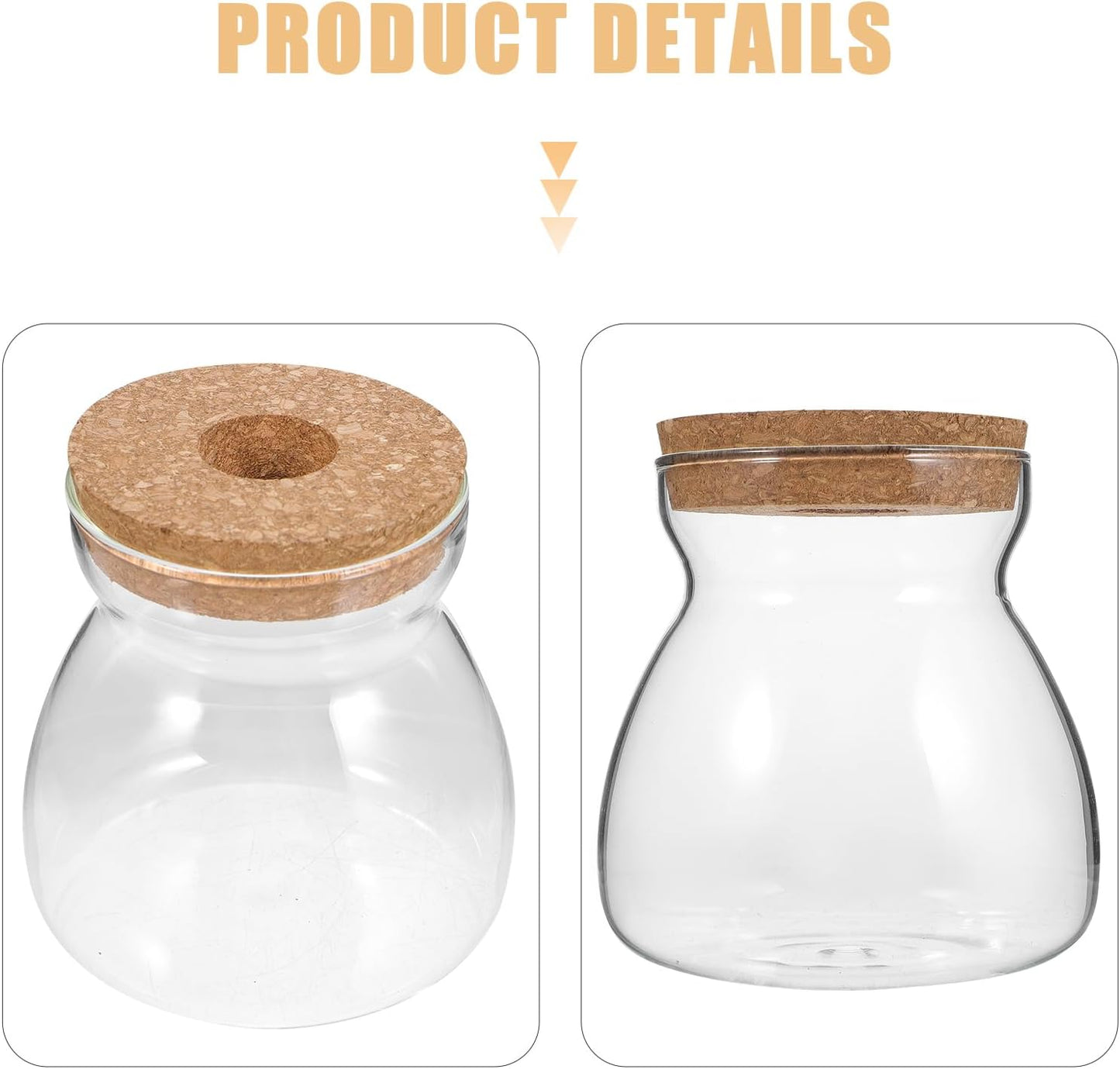 Glass Plant Jar -Plants Propagation Station - - with Wood Lid- Micro Landscape Terrarium Container Desktop Plant Jar Hydroponic Vases Gardening for Plant Lovers(Size)