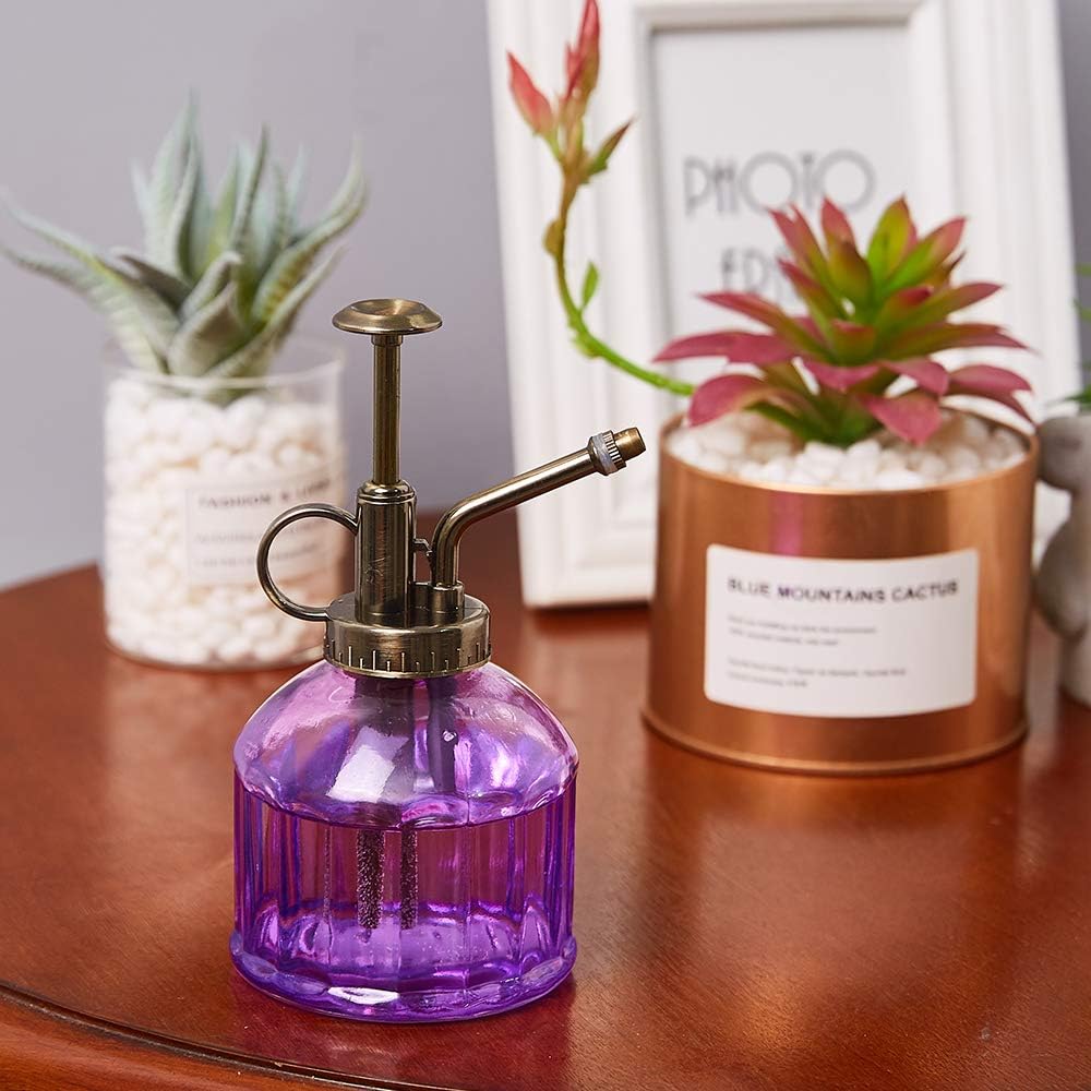 Glass Plant Mister Spray Bottle, Vintage Plant Spritzer Sprayer Mister, Succulent Watering Bottle with Top Pump, Small Glass Watering Can for Indoor Outdoor Houseplant - Purple