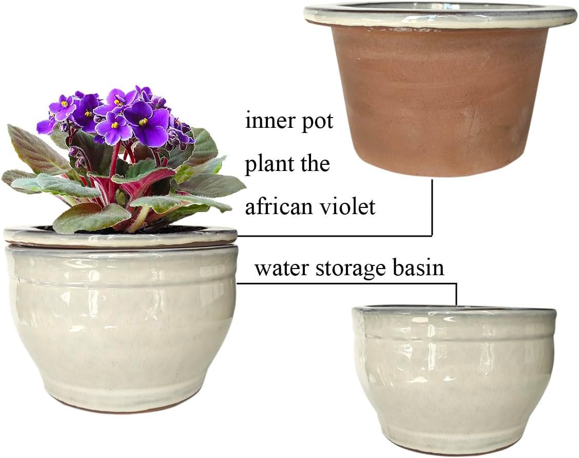 African Violet Pots Self Watering Round Ceramic Violet Pot (White, 6 inch)