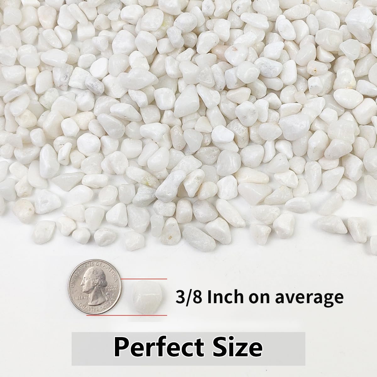 5LB Succulent and Cactus Gravel Pebbles, 3/8 Inch Natural Decorative Polished Stones, River Rocks for Plants, Vases, Aquariums, Terrarium and Outdoor Gardening, White