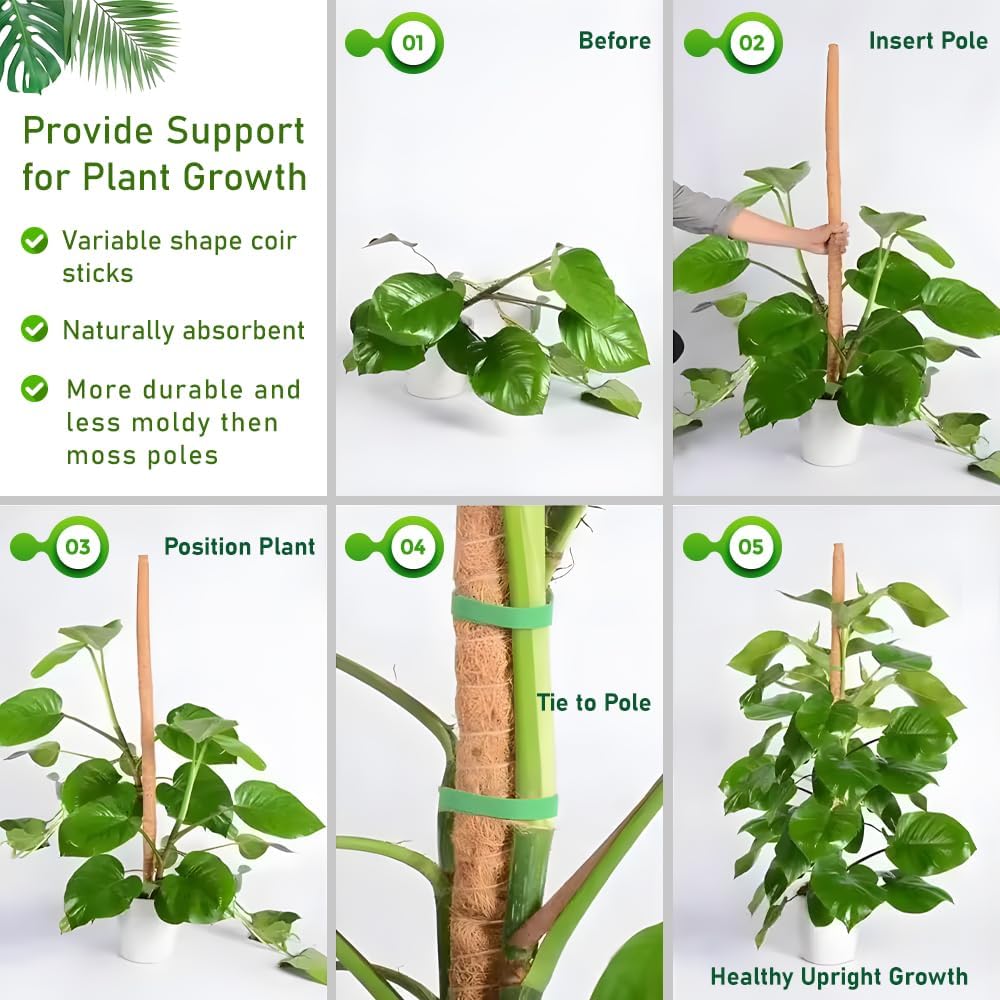 2 Pack Moss Pole for Plants Monstera, 28 Inch Bendable Plant Pole for Plant Support, Coco Coir Moss Poles for Climbing Plants, Handmade Moss Sticks for Creeper Plants Grow Upwards