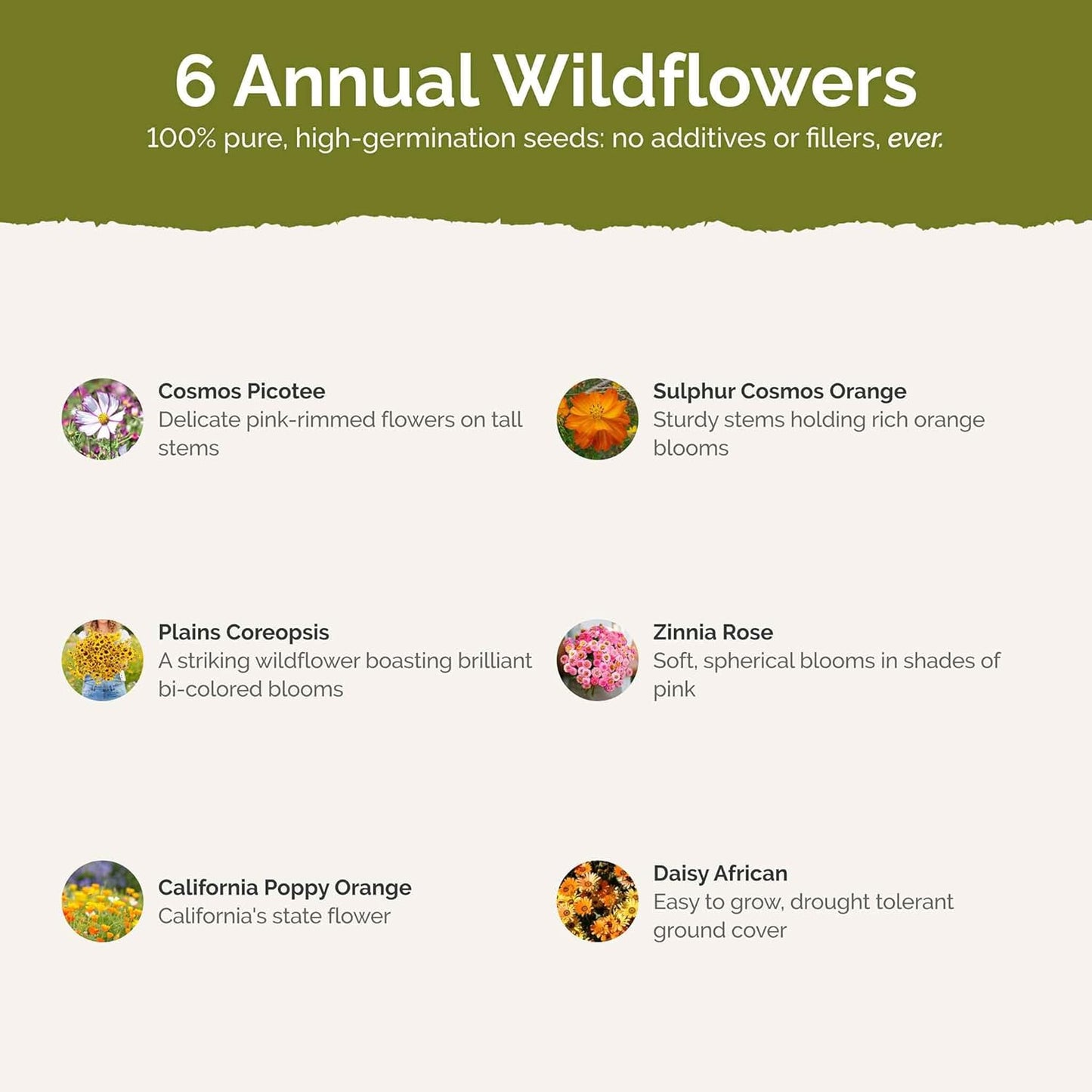 Eden Brothers Orange Sherbet Flower Mixed Seeds for Planting, 1 lb, 480,000+ Seeds with Cosmos Picotee, Bright Lights | Attracts Pollinators, Plant in Spring or Fall, Zones 3, 4, 5, 6, 7, 8, 9, 10