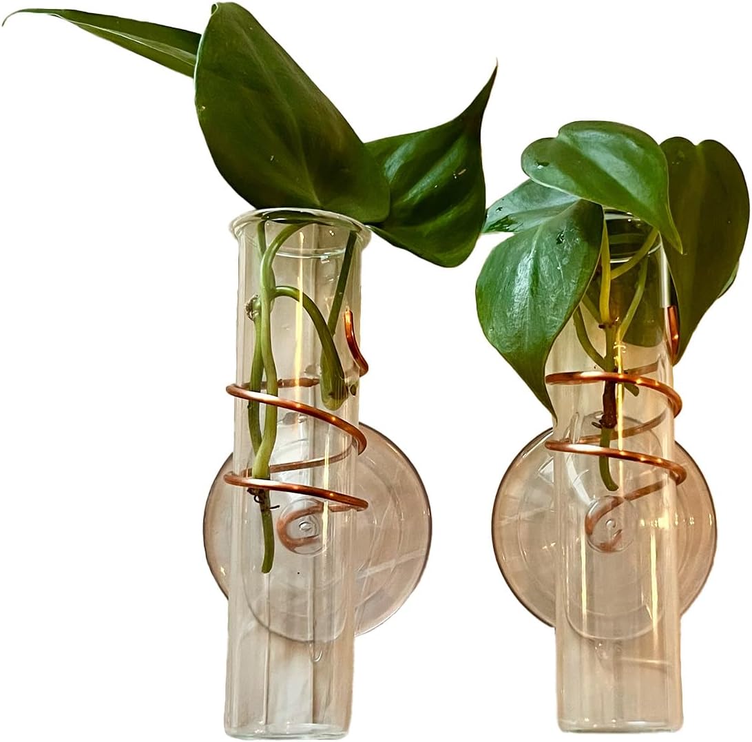 The Little Window Propagator | Window Propagation Station with Removable Glass Tubes, Indoor Plant Clippings, Cut Flowers, Herbs, Succulents | Home Decor | Plant Lover Gift (2)