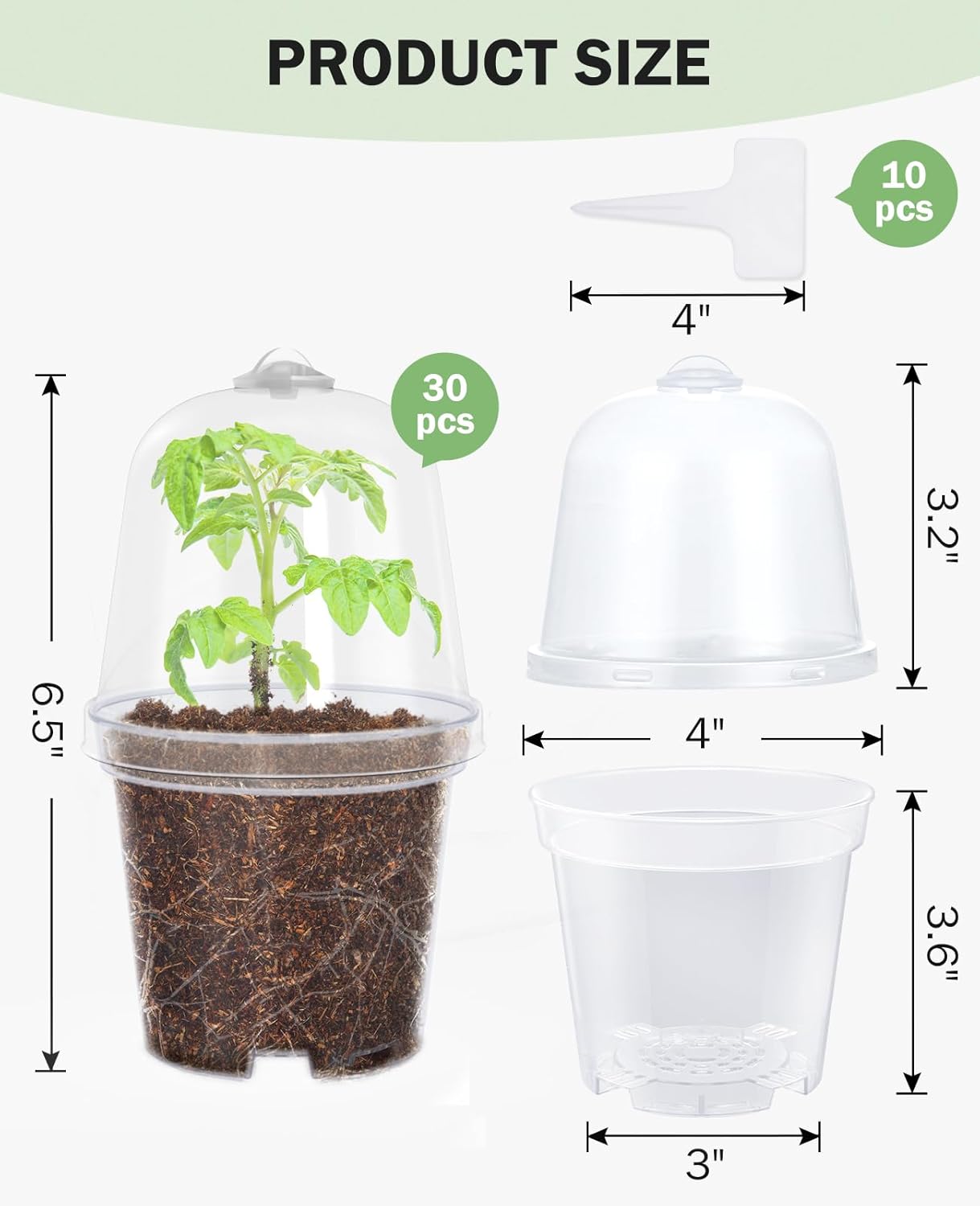 homenote Clear Nursery Pots for Plants,4 Inch Plant Pot for Planting with Humidity Domes Plastic Seedling with Drainage Holes Seed Starter Flower High Transparency (30 Pack)