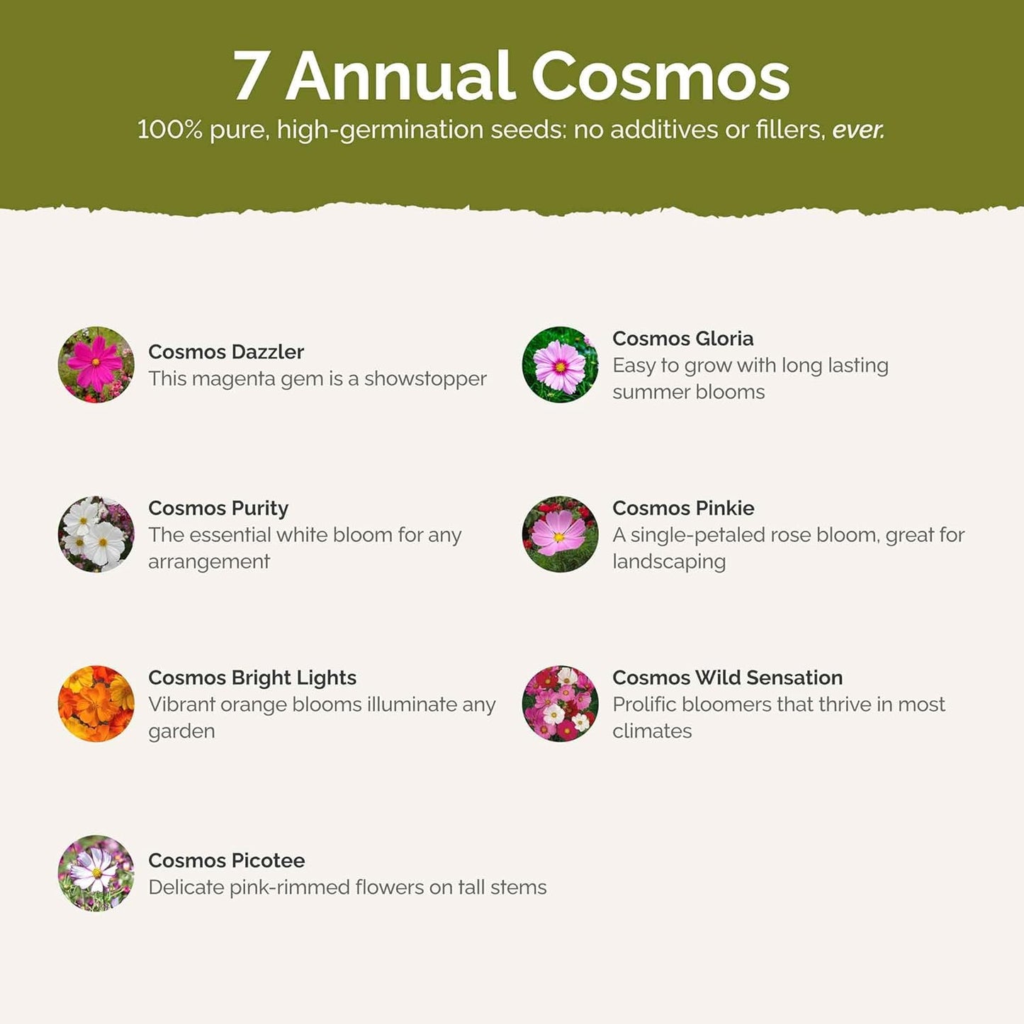 Eden Brothers Crazy for Cosmos Flower Mixed Seeds for Planting, 1 lb, 480,000+ Seeds with Cosmos Gloria, Pinkie, Purity | Attracts Pollinators, Plant in Spring or Fall, Zones 3, 4, 5, 6, 7, 8, 9, 10